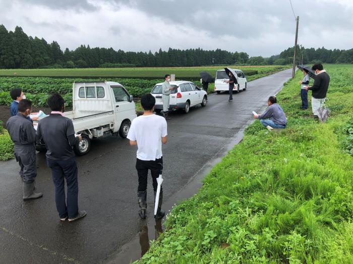 低コスト・省力栽培技術の確立を目指して加工業務用かぼちゃ栽培技術検討会を開催