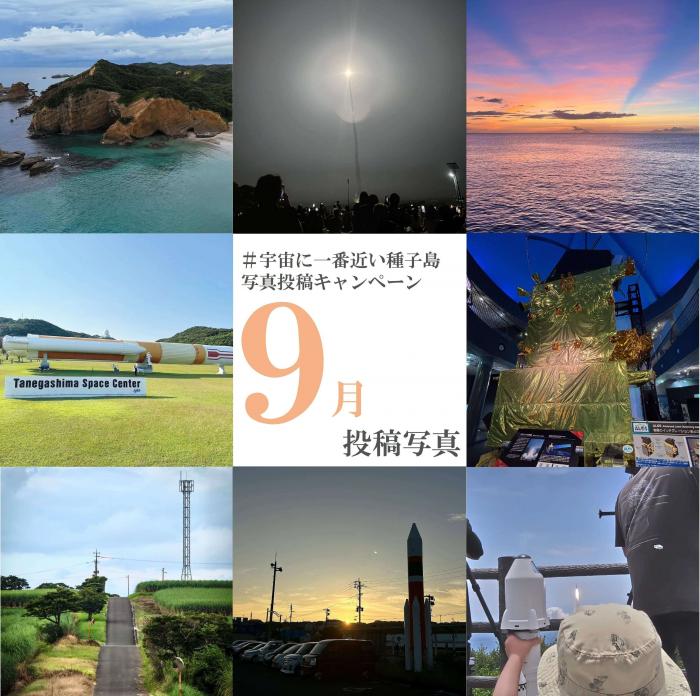 9応募