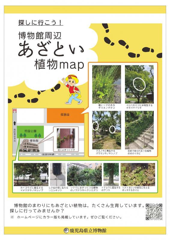 マップ
