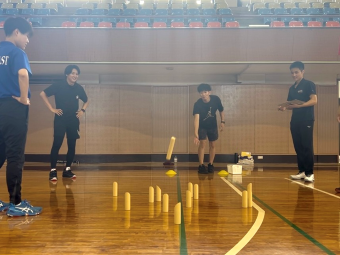 ソフトスティックゲーム