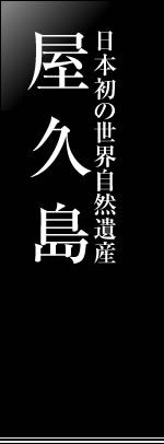 World Natural Heritage Yakushima Japan's first