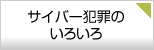 サイバー犯罪のいろいろ