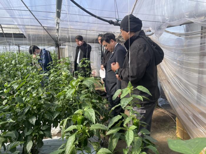 （大崎・東串良）視察先2