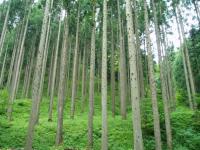 脱炭素社会創造プロジェクト画像