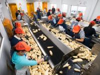 農産保存食料品製造業【株式会社海連】
