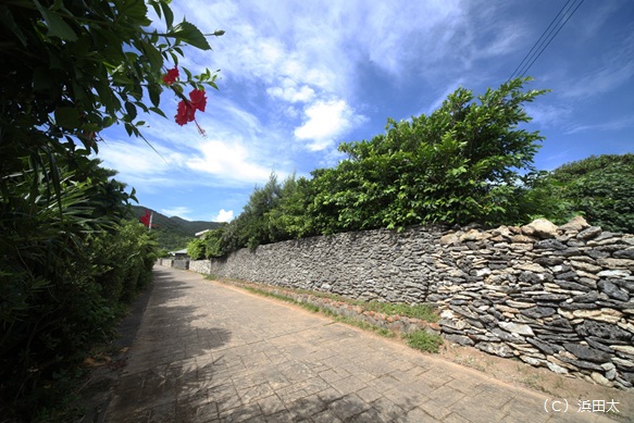 与路島サンゴ石垣