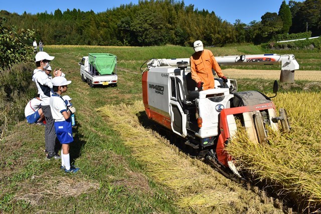 伊佐市立南栄小学校稲刈り