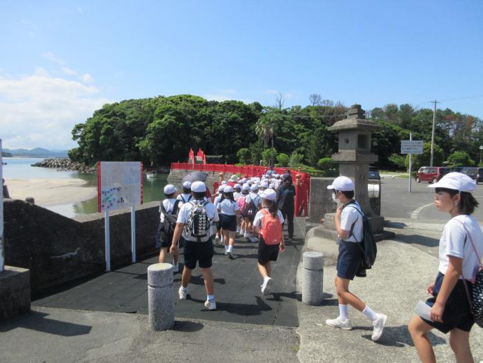 照島野外1
