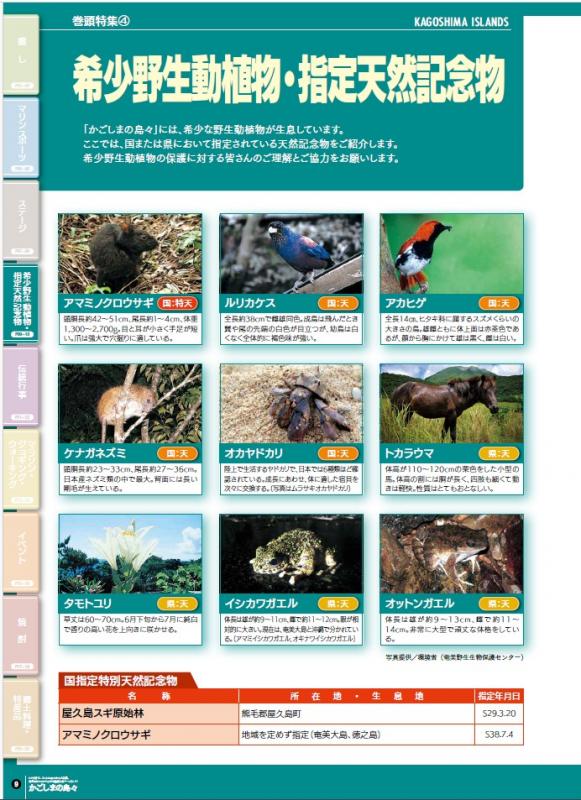かごしまの島々2026-5_希少野生動植物