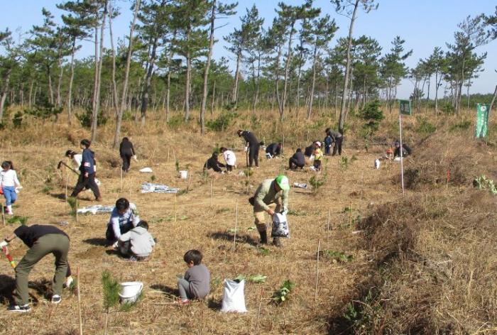 植樹活動(森林ボランティア連絡会)小サイズ