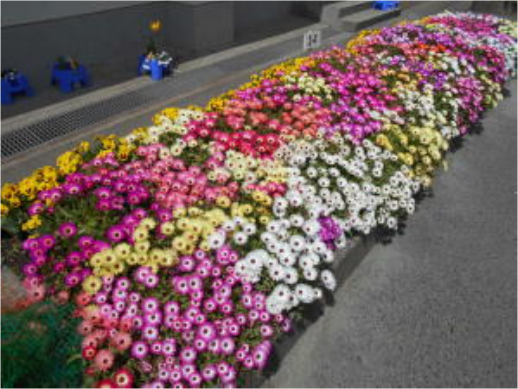西紫原小学校