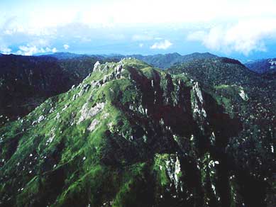 屋久島の風景写真