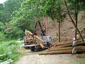 木材等生産機能維持増進森林