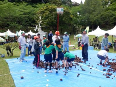 みどりの感謝祭_森の運動会
