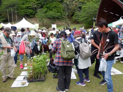 みどりの感謝祭_森からの贈り物