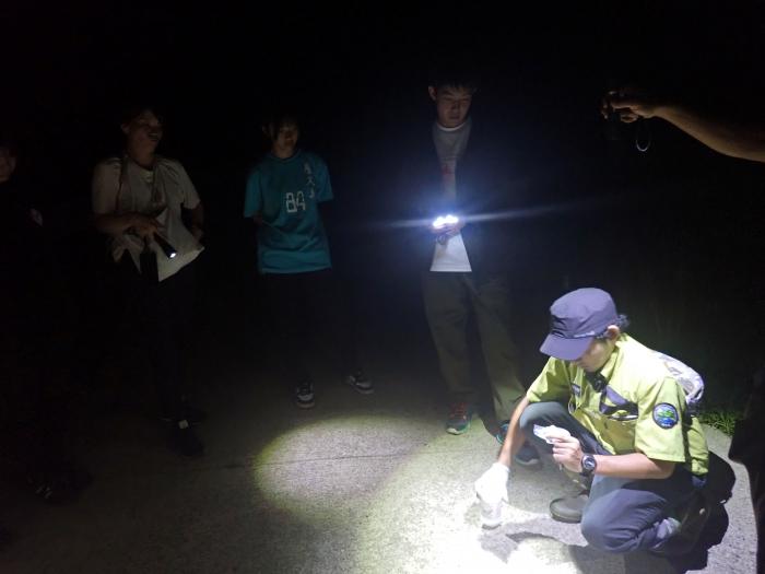 徳之島＿シロアゴ