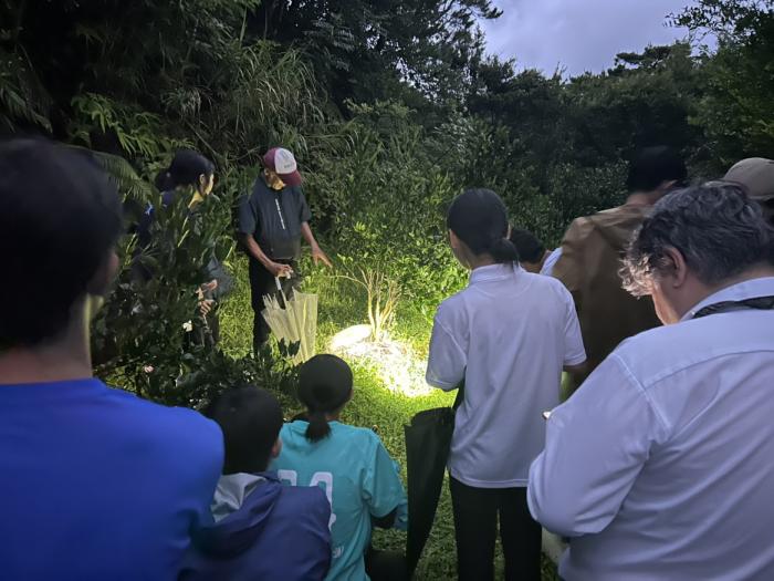 奄美大島＿タンカン農家