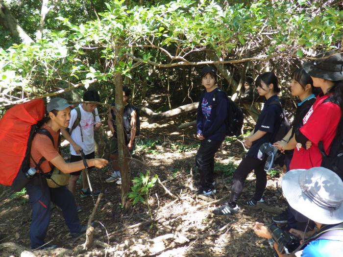 屋久島＿西部林道