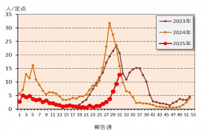 鹿児島県31週報