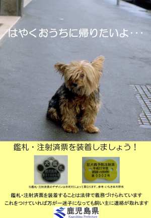 犬迷子札ポスター