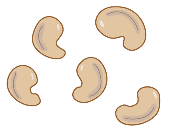 カシューナッツ