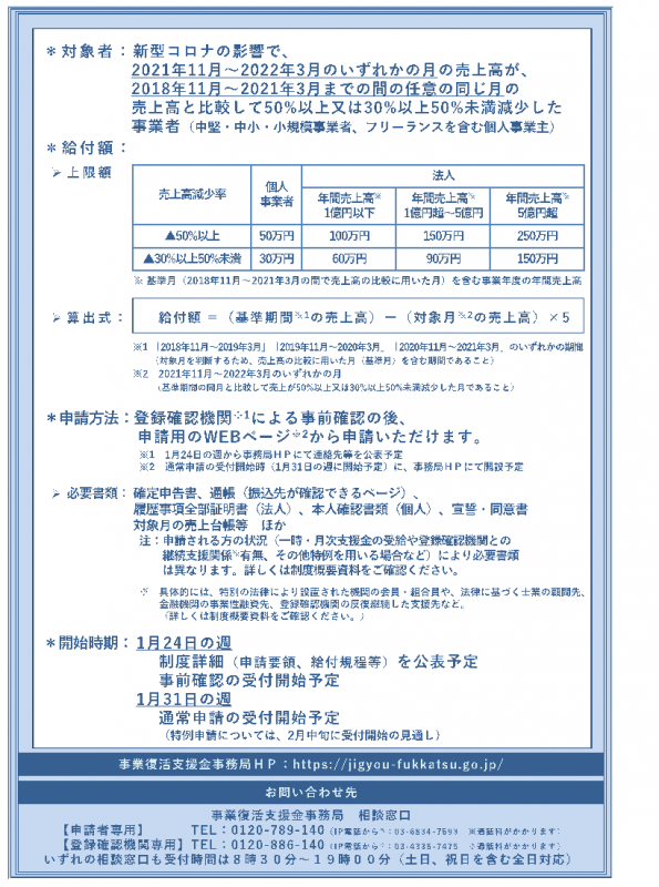 事業復活支援金のチラシ裏