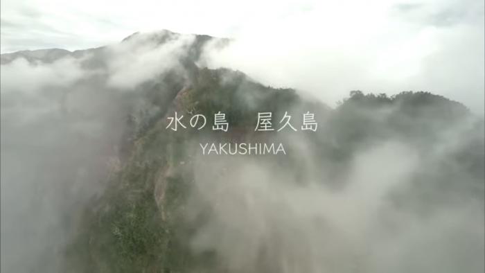 屋久島