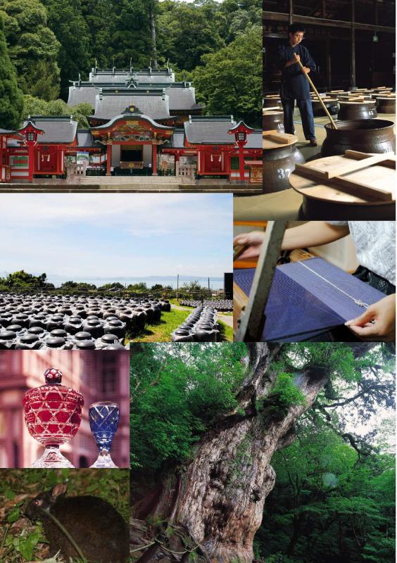 写真協力：公益社団法人鹿児島県観光連盟