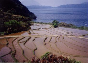 中山間地域の風景（中山間地域等の水源のかん養機能，洪水防止機能等の多面的機能により，国民の豊かなくらしが守られている）