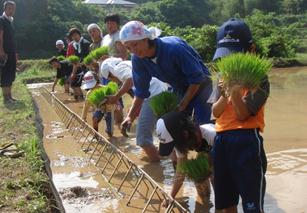 三角枠を使った田植え（薩摩川内市黒木地区）