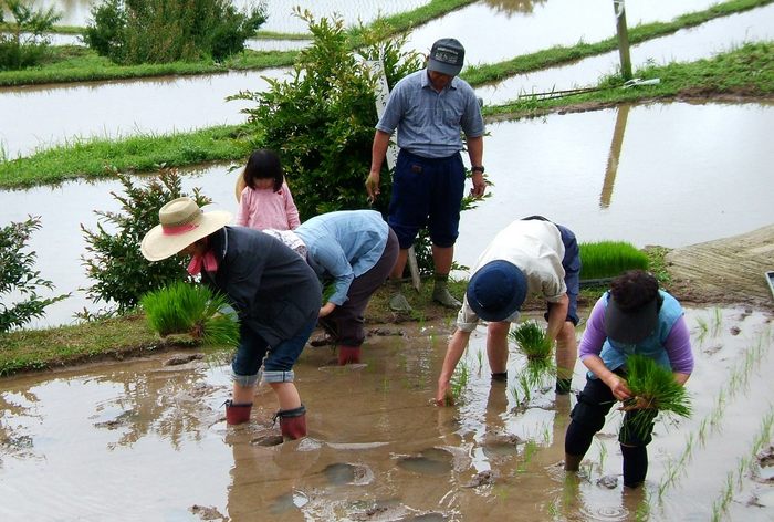 農林漁業体験民宿に宿泊しませんか？