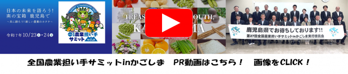 一括版