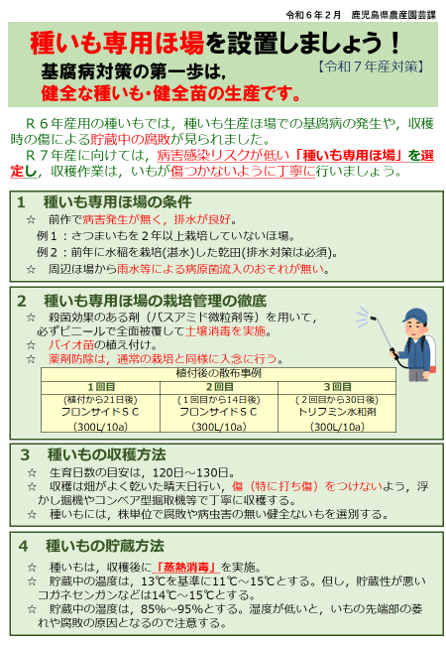 種いも専用ほ場