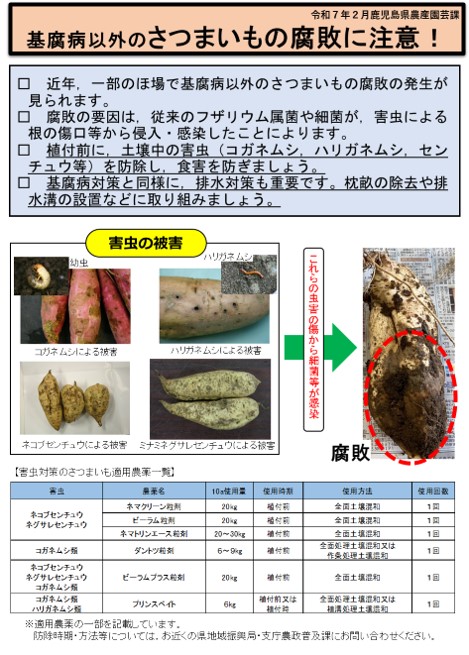 チラシ差替