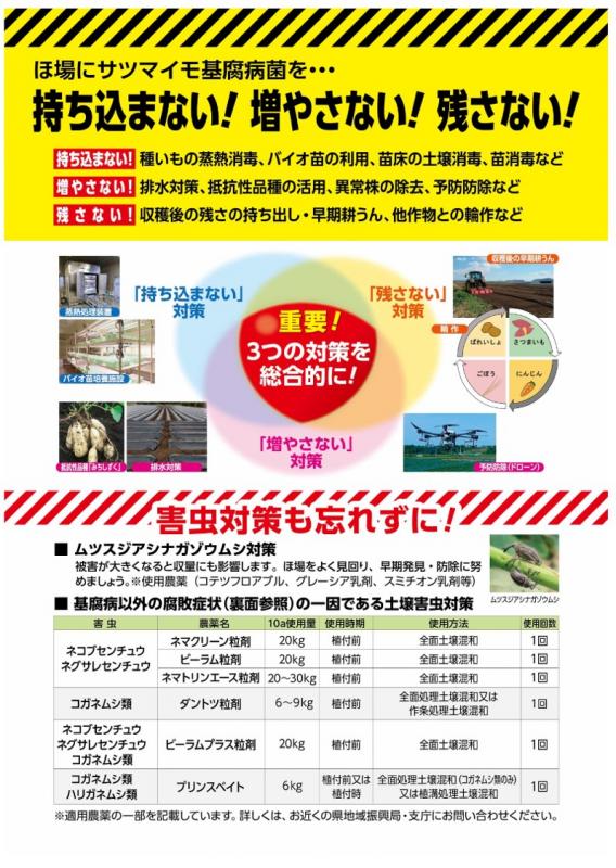 基腐と害虫