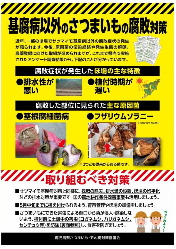 腐敗対策