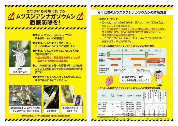 ムツスジアシナガゾウムシ防除対策チラシ_7月作成バージョン