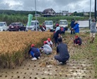 沖永良部