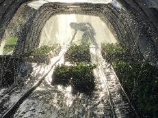 奄美フォト農美展「光の噴水」