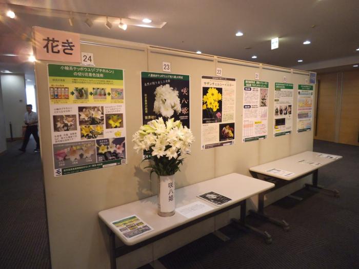 ポスター展示