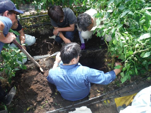 土壌採掘調査
