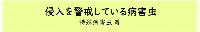 侵入を警戒している病害虫