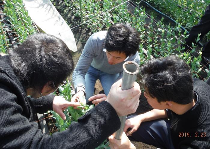 写真：トルコギキョウを生産している卒業生からアドバイスを受ける在校生