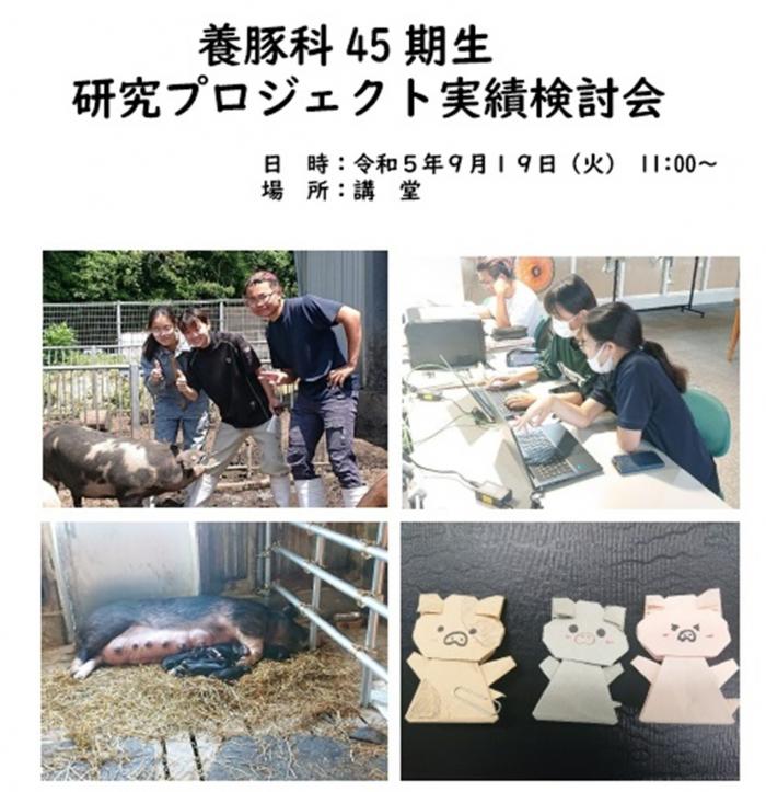 実績発表資料より