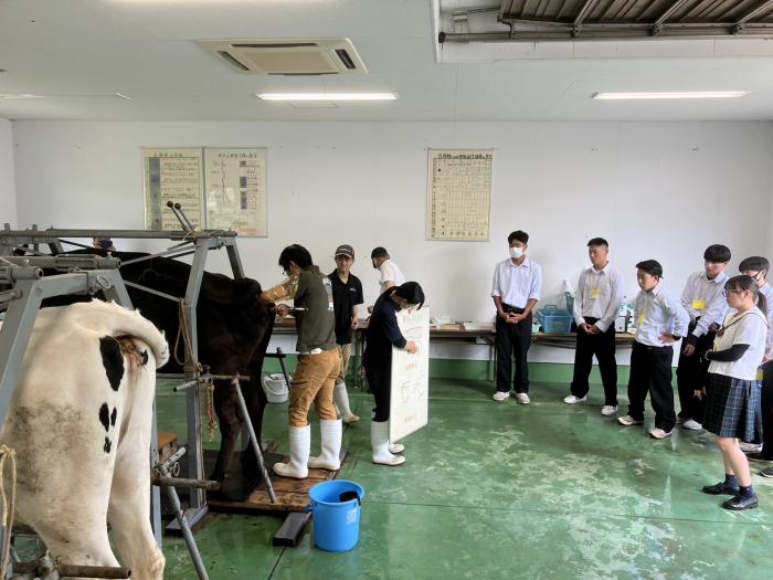 生殖器説明