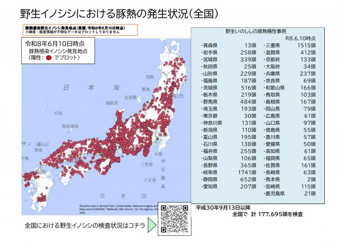 260623全国野生イノシシ検査