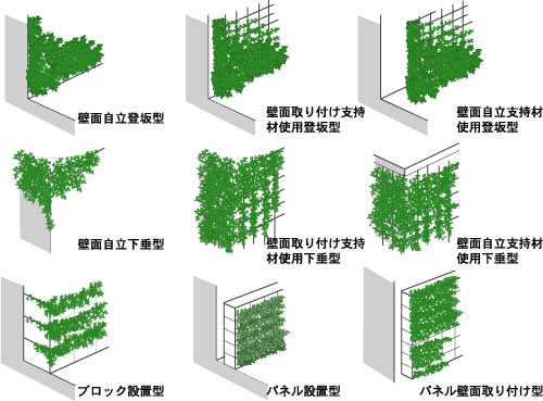 様々な壁面緑化の方法