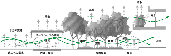 クールスポットの形成