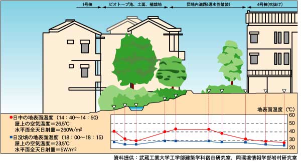 世田谷区深沢環境共生住宅における地表面温度の実測結果