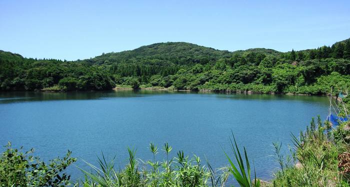 萬福池の様子